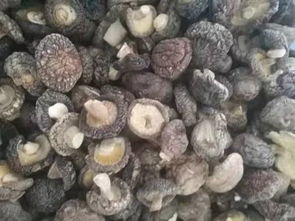 大農圈 農業供求信息 第一百九十期