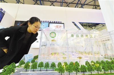 現代農業的綠色轉型 種子苗木的生態實踐與創新路徑