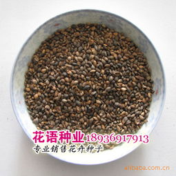 江蘇沭陽縣花語花卉園藝場產品供應 果樹苗子、草坪種子與綠化苗木精選推薦