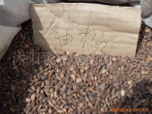 一站式花木種子與苗木采購指南 聚焦農(nóng)苗網(wǎng)與供應(yīng)商劉仰兵